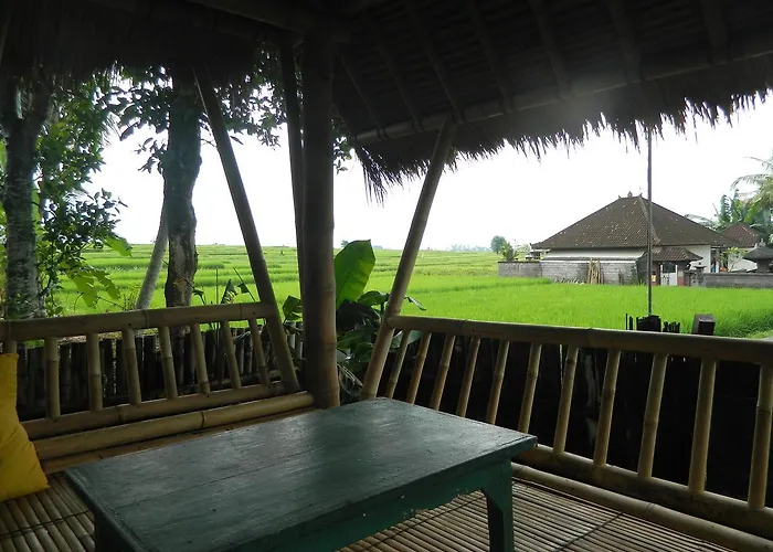 D'tegale * Cepaka